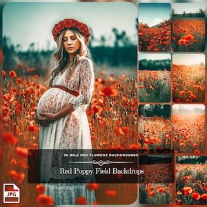 Champ de coquelicots rouge vif : superposition de 30 fleurs de pavot pour Photoshop, toile de fond photo captivante pour la photographie d'art