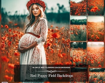Vibrant Red Poppy Field Art: 30 Poppy Blossoms Overlay for Photoshop, Captivating Photo Backdrop for Fine Art Photography