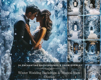 Winter Landscape Wedding Arch Backdrop: 30 Frozen Background Set & 10 Magical Snowflakes Overlay for Wedding or Maternity Fine Art Photo