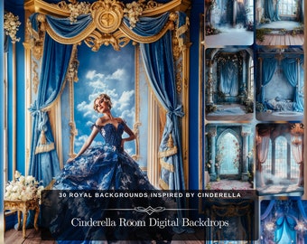 Digitale achtergronden Assepoesterkamer: 30 kasteel Assepoester Magic Kingdom sprookjesachtergrond met blauwe achtergrond voor prinsessenfeest Fotobewerking