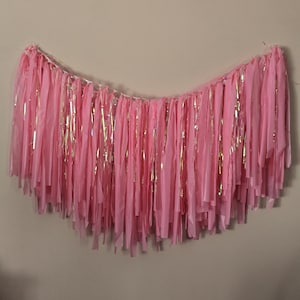 Backdrop or ceiling garland fringe made from pink plastic cloth and iredescent streamers. Customize colors and size for your next event!