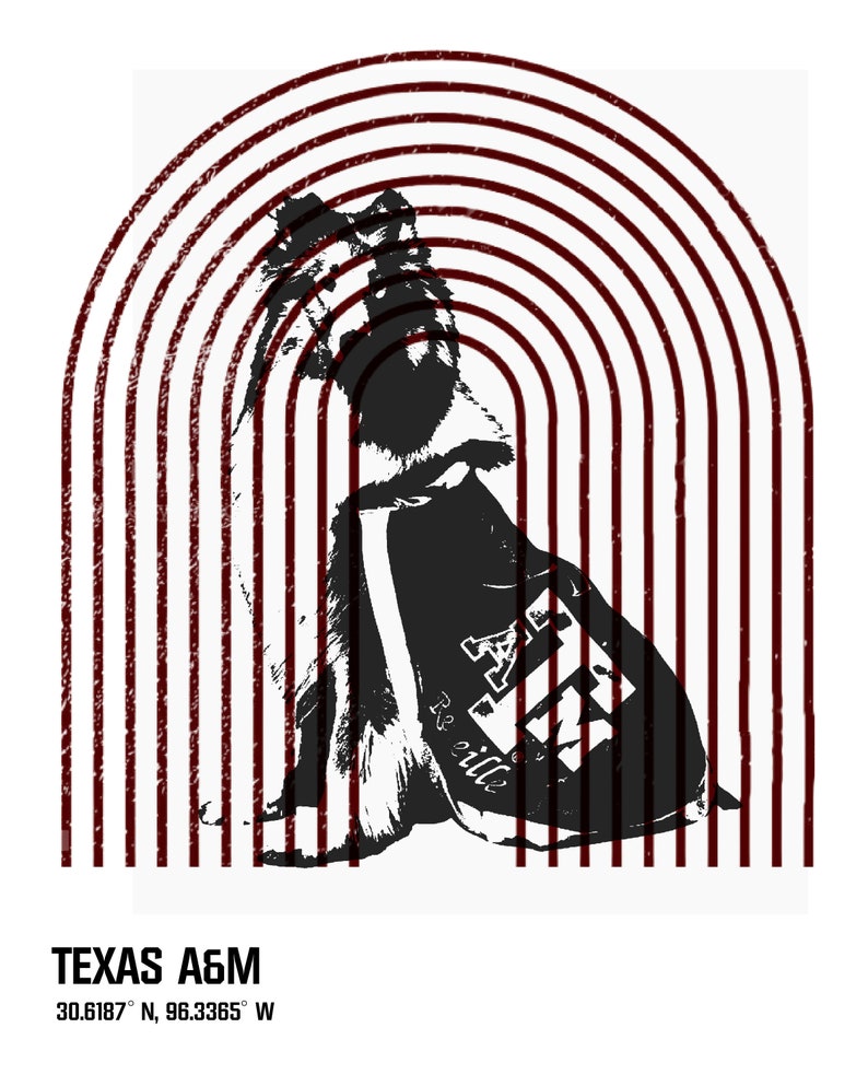 Licensed Texas A&M Mascot Midi Tee Dress main image 0