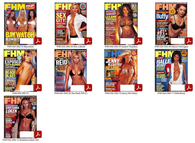 9x FHM USA Magazines ältere Ausgaben 2003 PDF Digital Downloads Bild 1