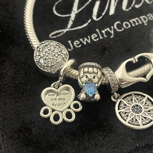 May include: Silver charm bracelet with a paw print charm that says "Paw prints on my heart" and other charms including a dog charm, a sun charm, and a charm with clear stones.