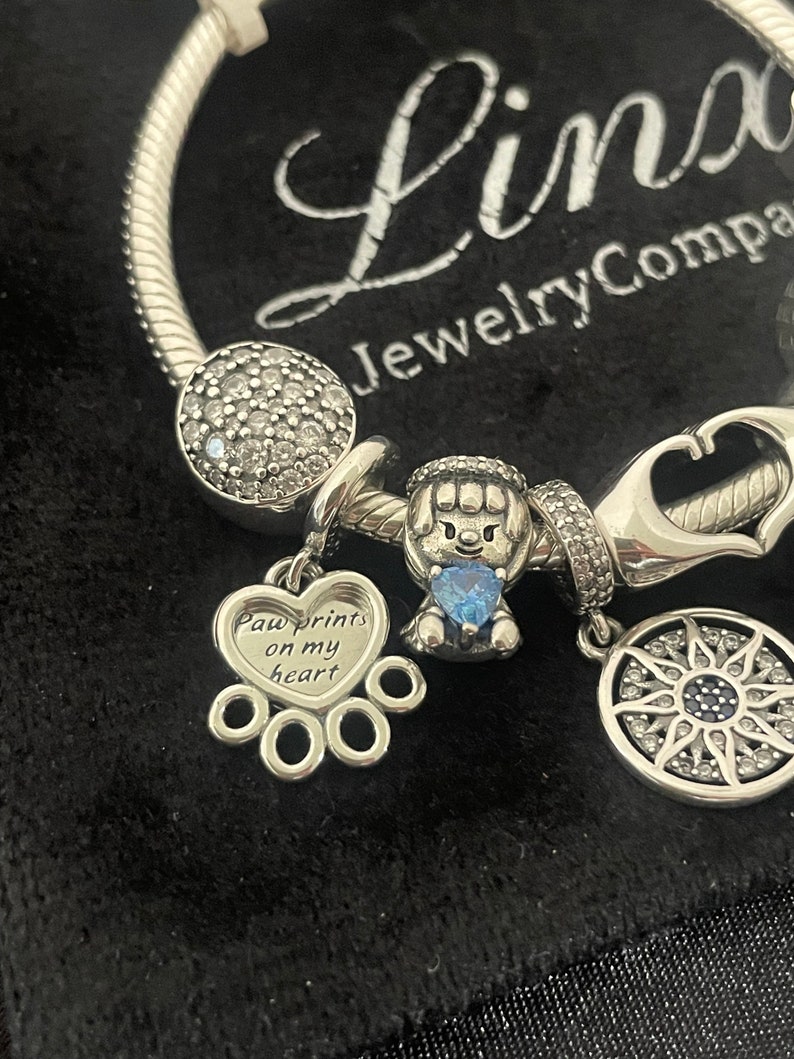 May include: Silver charm bracelet with a paw print charm that says "Paw prints on my heart" and other charms including a dog charm, a sun charm, and a charm with clear stones.