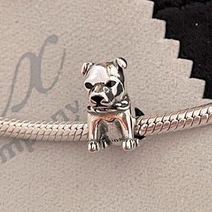 Pitbull with Collar Charm 925 sterling silver