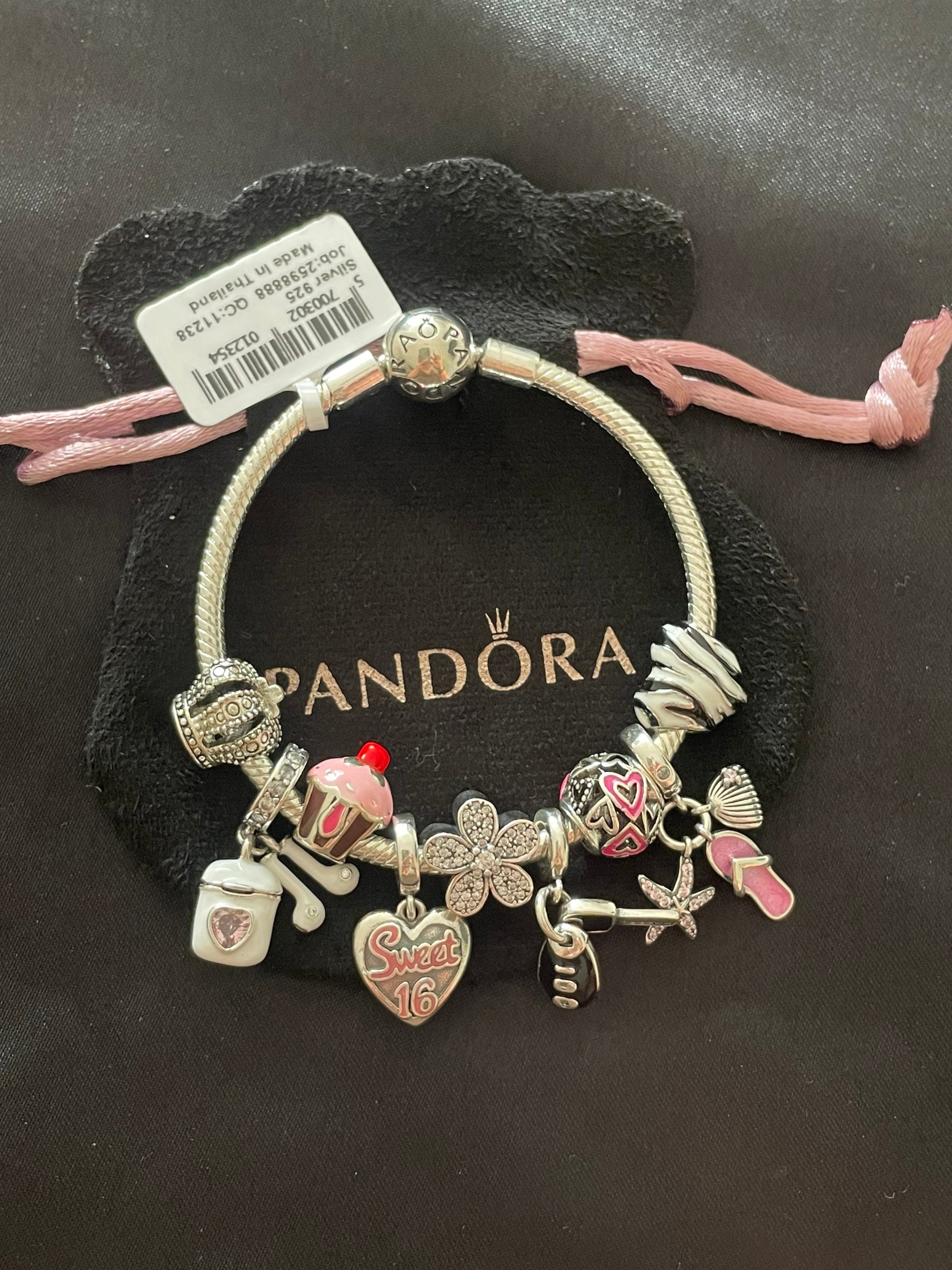 Pandora Bracelet With Cute Themed Charms 