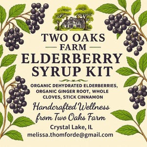 Organic Elderberry Syrup Kit