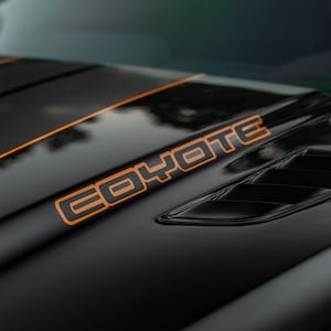 Mustang GT 2-Tone Coyote Decal (Pair)