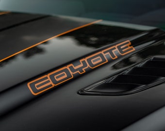 Mustang GT 2-Tone Coyote Decal (Pair) CUSTOM TEXT