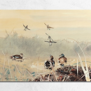 Vintage Duck Pond Watercolor Print by Roy Martell Mason