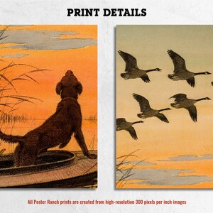 May include: A brown Labrador Retriever dog sits in a boat, looking up at a flock of geese flying in a V formation against a sunset sky.