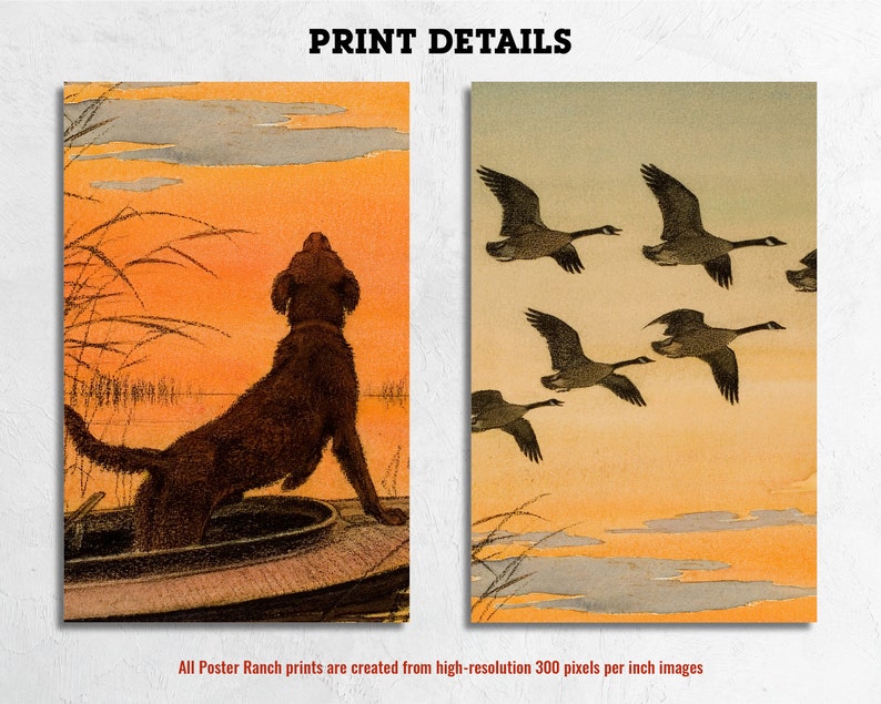 May include: A brown Labrador Retriever dog sits in a boat, looking up at a flock of geese flying in a V formation against a sunset sky.