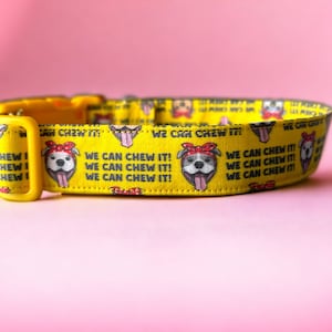 Puede incluir: Collar de perro amarillo con un patrón repetido de perros de dibujos animados con el texto "We Can Chew It!" impreso en él.