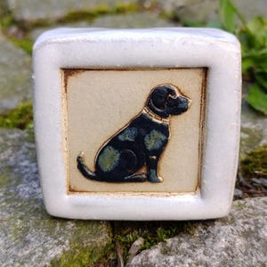 Könnte beinhalten: Quadratische Keramikfliese mit einem schwarzen Hund, der grüne Flecken und ein goldenes Halsband hat, vor beigem Hintergrund. Der Hund ist von einem weißen Rahmen umgeben. Wahrscheinlich ein dekorativer Gegenstand.