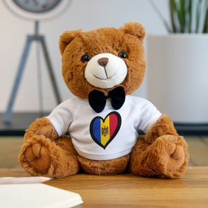 Moldova Flag Teddy Bear with T-Shirt, Moldova Flag Toy, Moldova Toy, Moldova Toy Gift