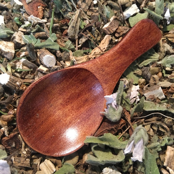 Mini Wooden Spoon | Teaspoon | Scoop for Mixing, Blending, and Scooping Herbal Loose Leaf Tea and Spice Mix 3.25"