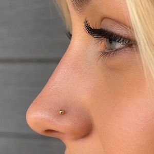 Pode incluir: Close-up de um nariz com um pequeno piercing dourado. O tom de pele é claro e o fundo é cinza neutro. A imagem destaca o piercing no nariz.