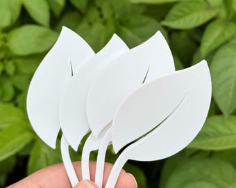 Selección de planta / Etiqueta de hoja