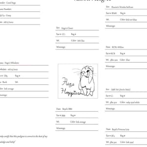 RABBIT PEDIGREE TEMPLATE - Blank rabbit pedigree - Printable Instant Download, Insert Your Logo, Edit on Canva, Pedigree Form, Bunny Form