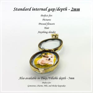 May include: An open gold-toned oval locket featuring a small photograph of a puppy on grass. Text reads: Standard internal gap/depth - 2mm, Perfect for: Pictures, Pressed flowers, Hair, Anything slender. Also available in Deep/Fillable depth - 5mm.