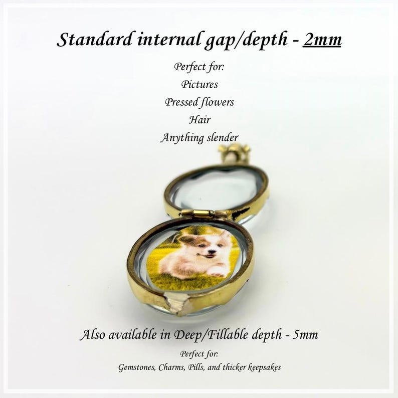 May include: An open gold-toned oval locket featuring a small photograph of a puppy on grass. Text reads: Standard internal gap/depth - 2mm, Perfect for: Pictures, Pressed flowers, Hair, Anything slender. Also available in Deep/Fillable depth - 5mm.
