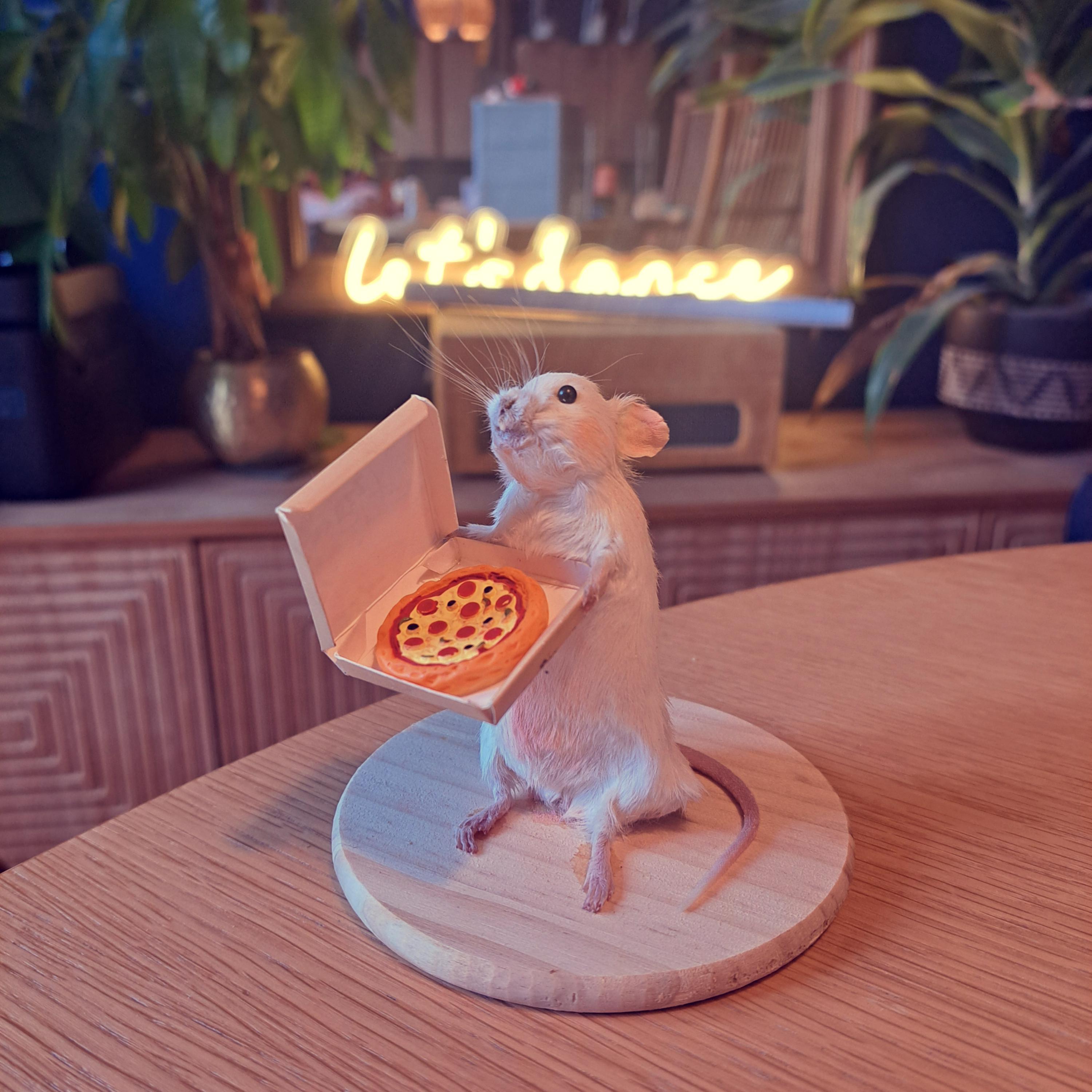Mouse Taxidermy Mounted With Pizza Quirky Oddity Gift. Weird