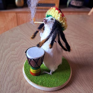 Rasta Mouse Taxidermy: Quirky Drummer Oddity Decor
