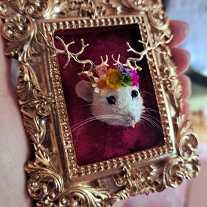 May include: A white taxidermied mouse with antlers and a flower crown in a gold ornate frame. The mouse is on a red velvet background.
