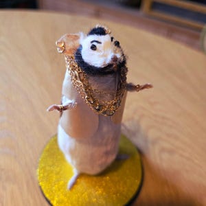 Mr t mouse taxidrmy gold chains, gold vest