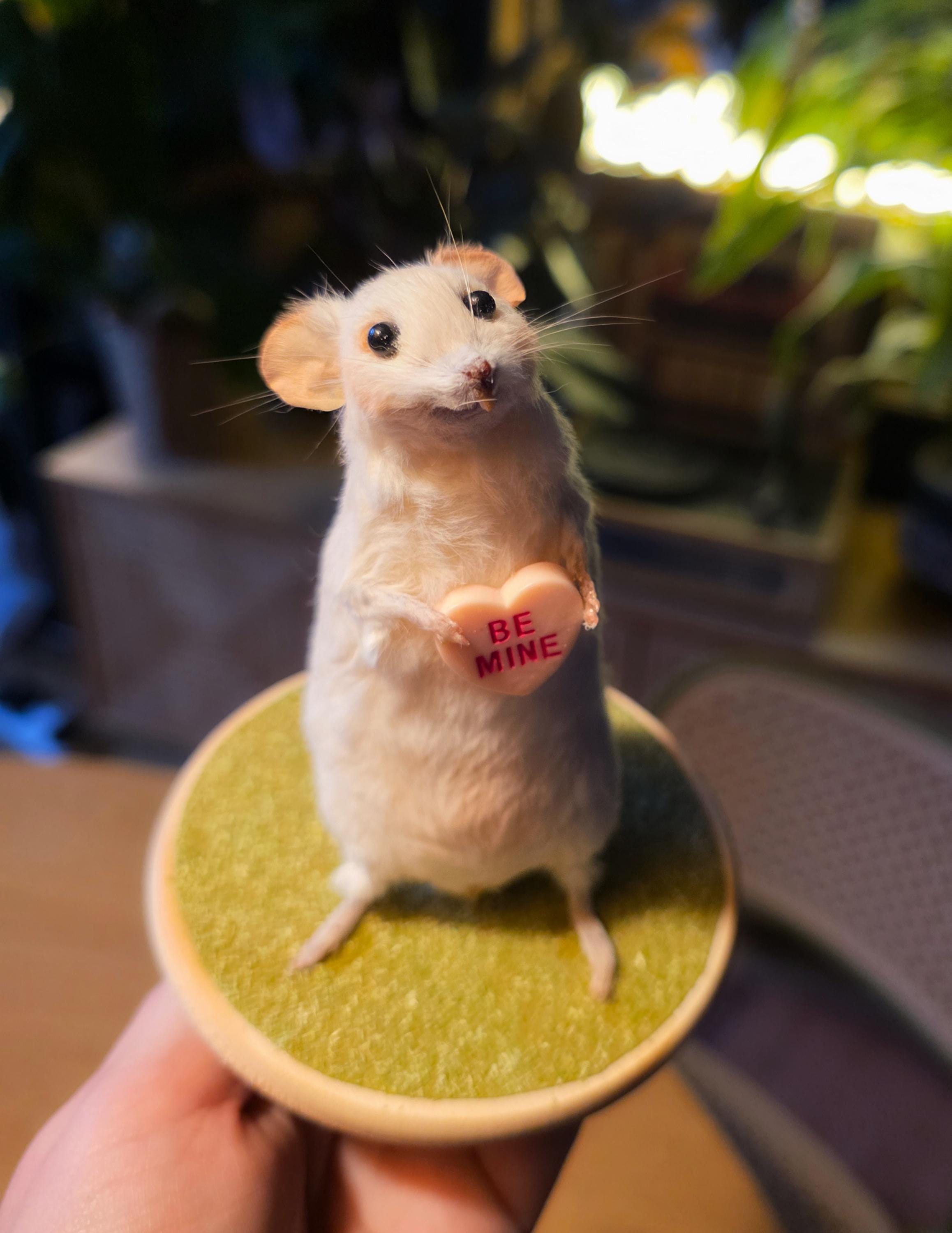 Devil Mouse Taxidermy Red Satan With Wings and Skulls - Etsy