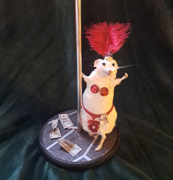 Mouse taxidermy show girl pole dancer with dollar bills quirky oddity gift. With deep red feather and lace. Real Stuffed Rodent decor