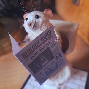 May include: A white rat holding a newspaper with the headline "UFOlogy Today: Animal Abduction".
