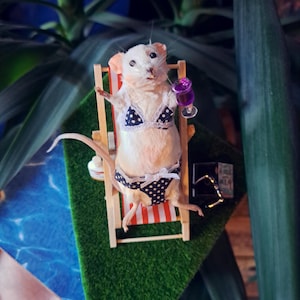 Taxidermie de souris sur une chaise longue au bord de la piscine avec un livre de lecture de cocktails