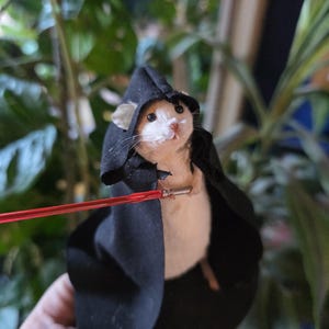 May include: A small rodent, predominantly white and tan, wearing a black hooded cloak and holding a red lightsaber. The background features green plants. The lightsaber is a thin, red rod.