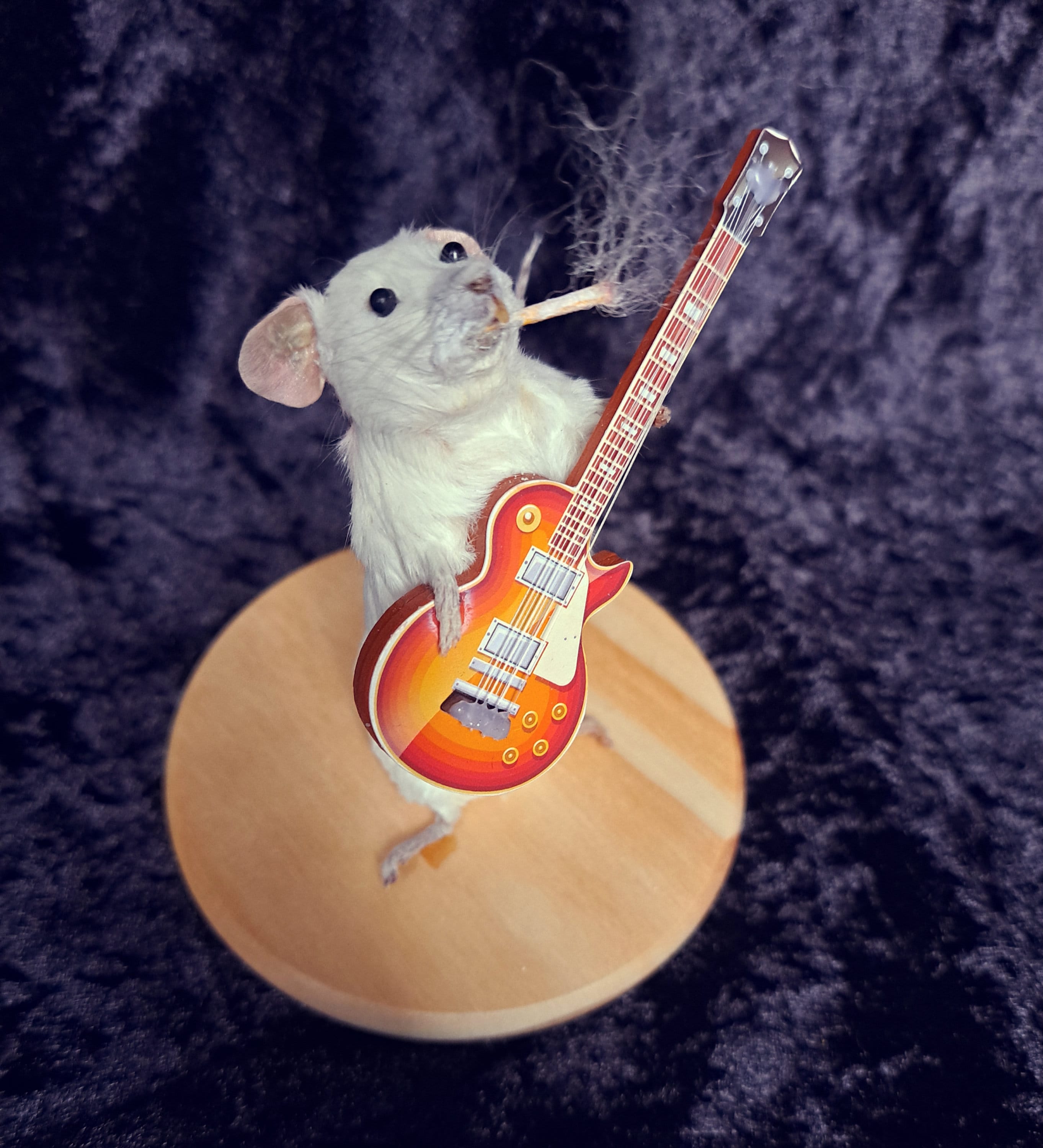 mouse smoking cigarette Cute Mouse Taxidermy Playing Guitar Smoking Cigarette. Oddity and Curios.  Real Stuffed Rodent. Unique Gift