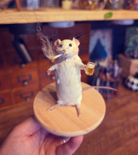 mouse smoking a cigarette Quirky Taxidermy Mouse With Beer & Cigarette, Oddity Decor