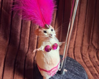 Mouse taxidermy show girl pole dancer with dollar bills quirky oddity gift. With deep red feather and lace. Real Stuffed Rodent decor