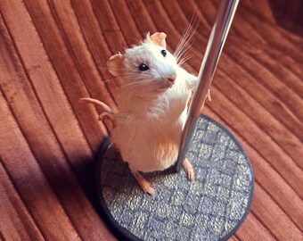 ポールダンスをするネズミの剥製：風変わりなネズミの飾り - Etsy 日本