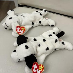 May include: Two white and black dalmatian beanie babies with red Ty tags. The tags have a white star and the words "Beanie Baby" printed on them.