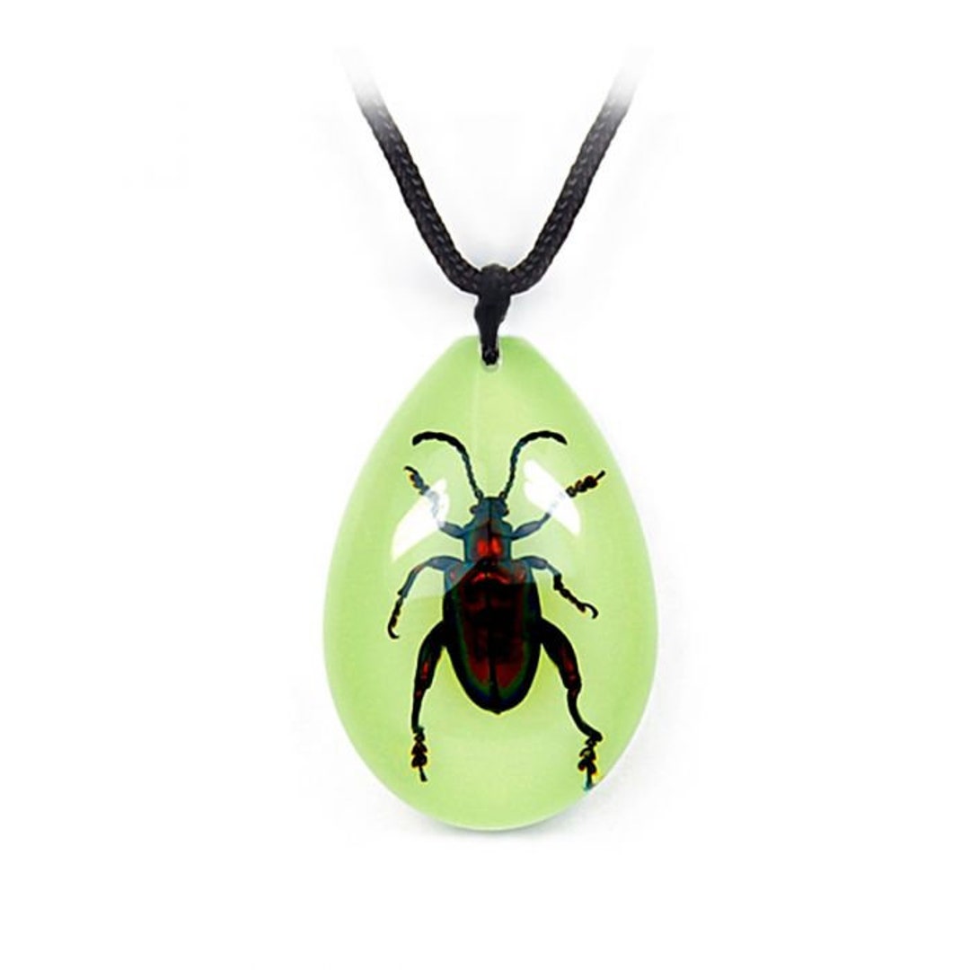 Glowsinthedark Real Jewel Frog Beetle Necklace With Etsy
