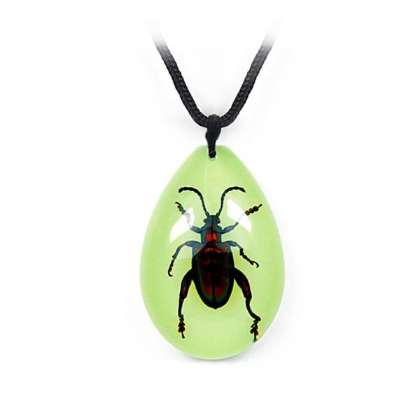 Glows-in-the-Dark Real Jewel Frog Beetle Necklace with adjustable chain, Real Insect Pendant, Teardrop Shape Acrylic Resin