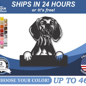 Custom Metal Vizsla Sign | Metal Dog Breed Name Sign | 22 Color Options
