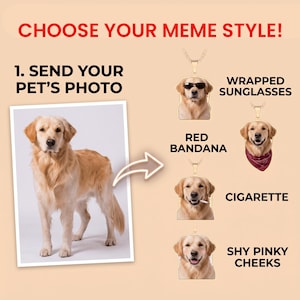 Può includere: Una guida per collane con foto di animali domestici intitolata CHOOSE YOUR MEME STYLE! che mostra una foto di golden retriever e quattro opzioni di ciondoli: occhiali, bandana rossa, sigaretta o guance rosa. Testo: 1. SEND YOUR PET'S PHOTO.