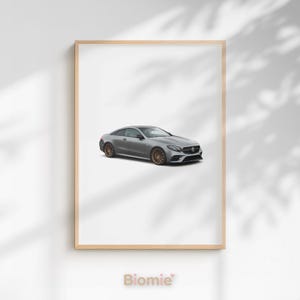 Könnte beinhalten: Gerahmter Druck eines silbernen Coupé-Autos mit bronzefarbenen Rädern. Das Auto steht vor einem weißen Hintergrund in einem hellen Holzrahmen. Das Wort "Biomie" ist unten im Rahmen aufgedruckt.