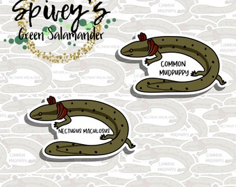 Common Mudpuppy Salamander Sticker Necturus maculosus Sticker Herpetology Amphibian Salamander Sticker