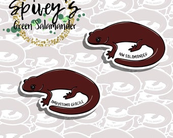 Northwestern Salamander Sticker Ambystoma gracile Sticker Herpetology Amphibian Salamander Sticker