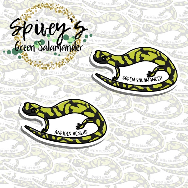 Green Salamander Sticker Aneides aeneus Sticker Herpetology Amphibian Salamander Sticker