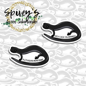Grey Cheek Salamander Sticker Plethodon montanus Sticker Herpetology Amphibian Salamander Sticker