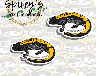 Long-toed Salamander Sticker Ambystoma macrodactylum Sticker Herpetology Amphibian Salamander Sticker